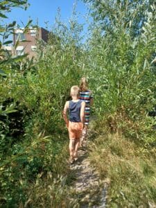 Struinbeplanting op de speelplek