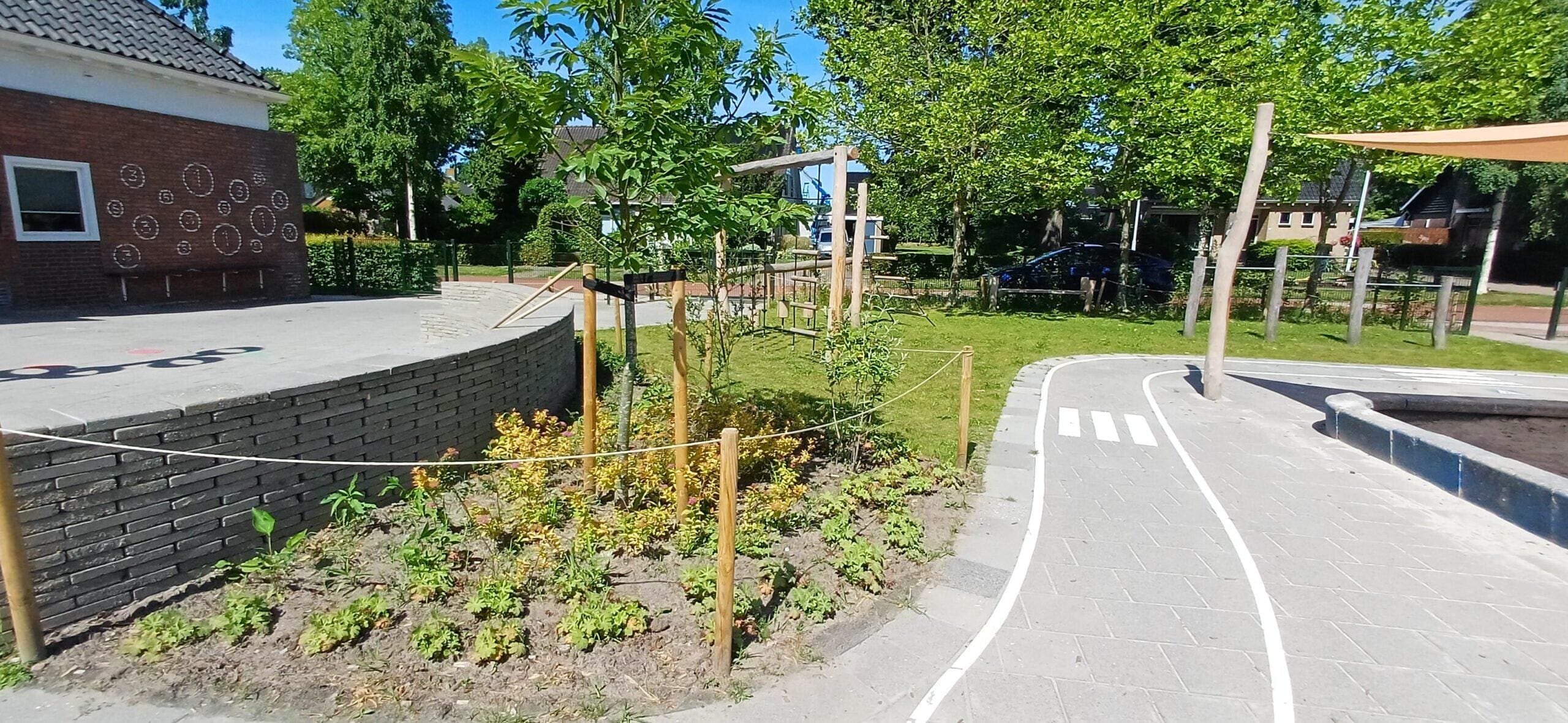 Spelen, ontdekken en groeien op een groen schoolplein in Twijzel