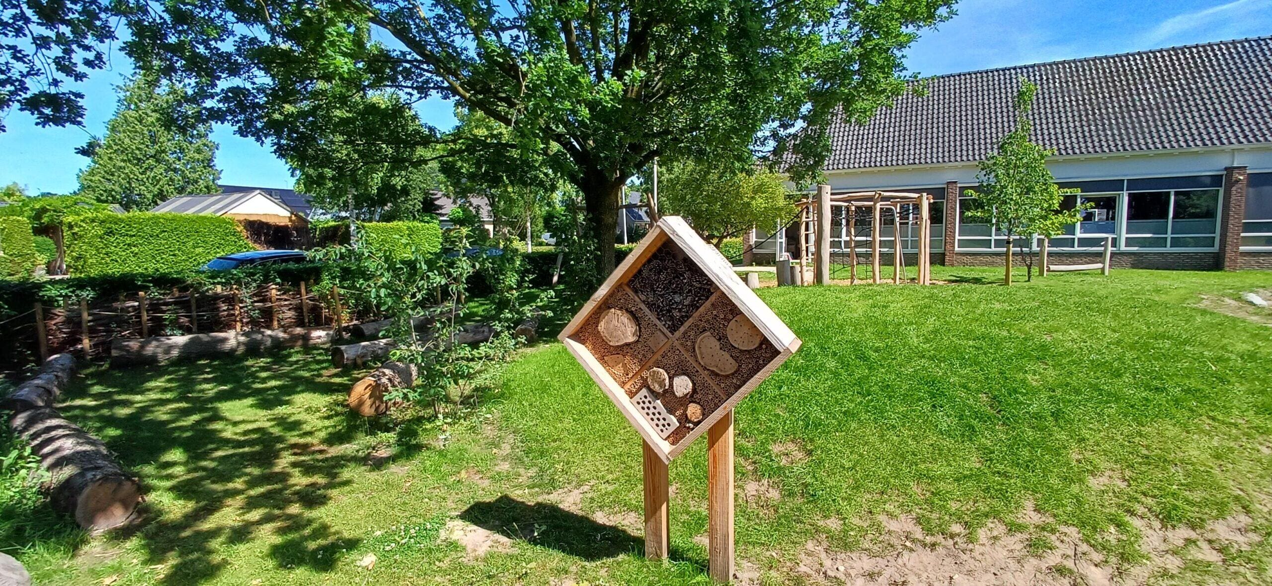 Spelen, ontdekken en groeien op een groen schoolplein in Twijzel