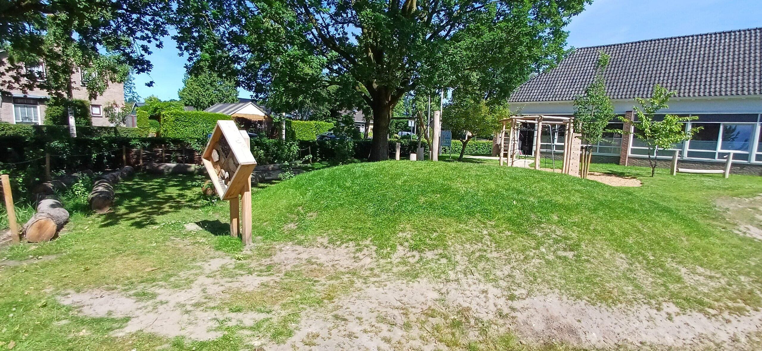 Spelen, ontdekken en groeien op een groen schoolplein in Twijzel