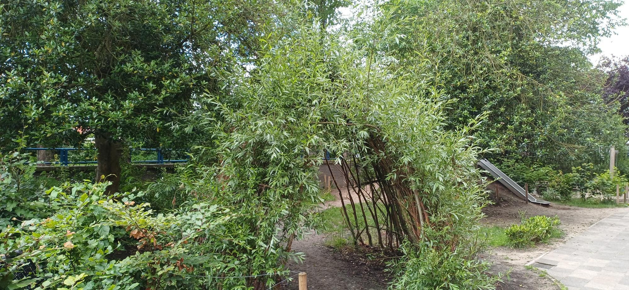 Groen schoolplein met multifunctionele elementen voor Basisschool het Mozaïek in Zwolle