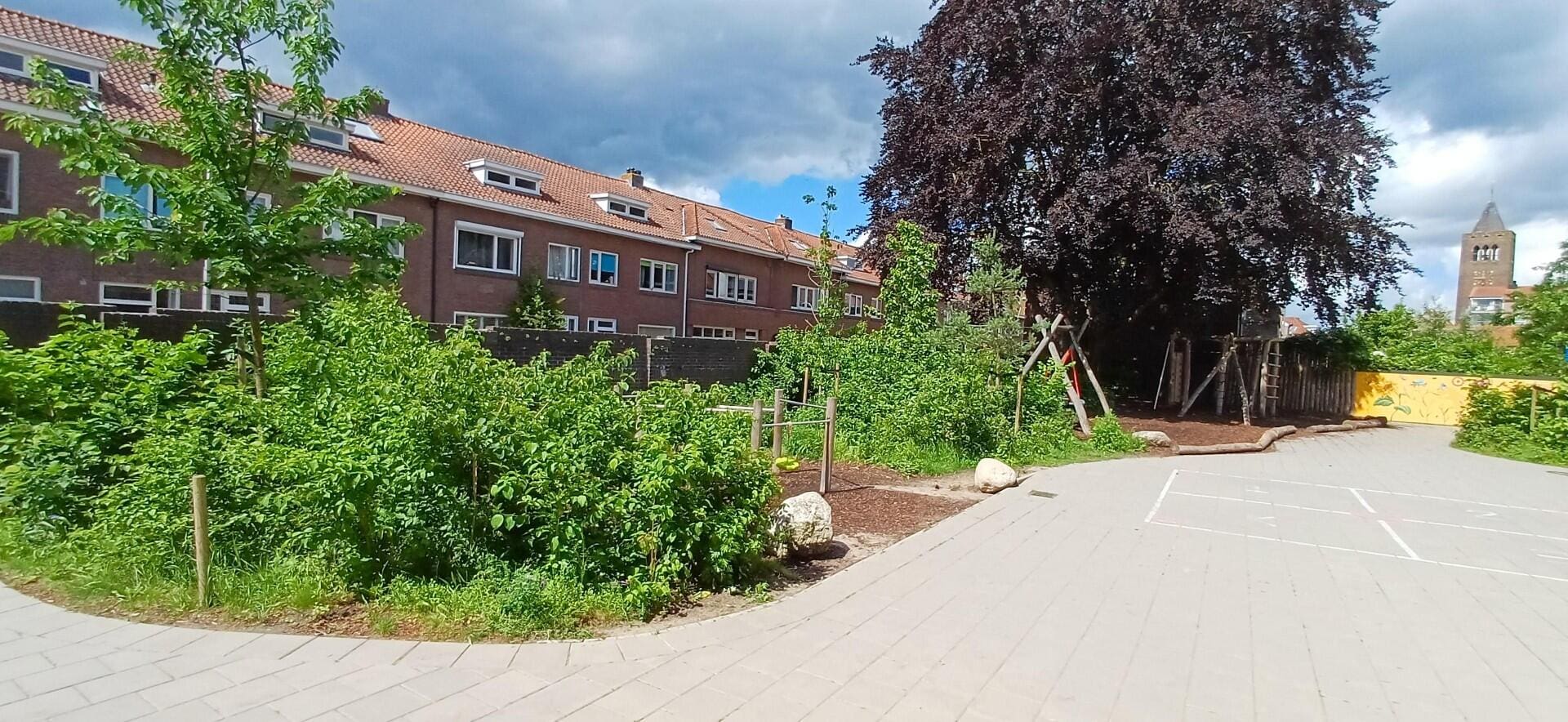 Groen schoolplein met multifunctionele elementen voor Basisschool het Mozaïek in Zwolle