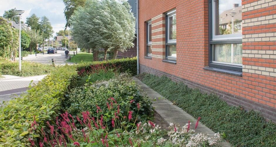 Tuin ASVZ De Koolmees, Bleskensgraaf, Nederland
