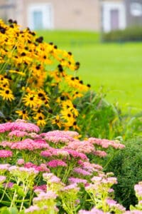 Sierbeplanting op de speelplek