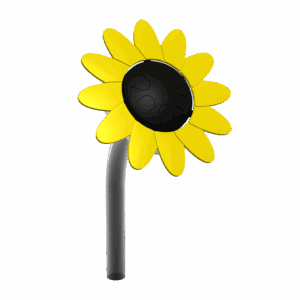 Bloemendrums Zonnebloem DRD.PCP.019