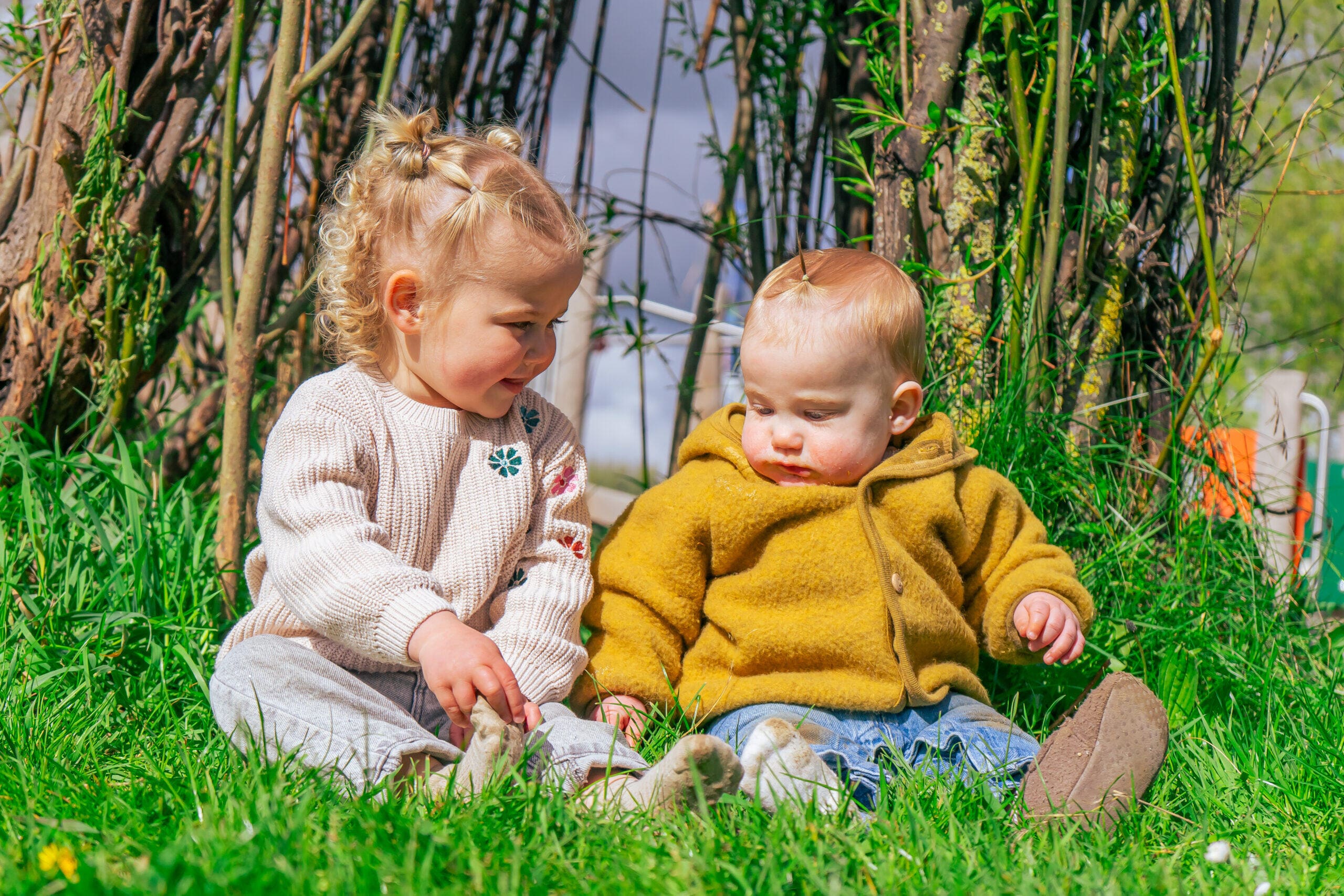 Samen spelen aan het Esmeer in Aalst – Hoe een inclusieve droom werkelijkheid werd bij De Neswaarden