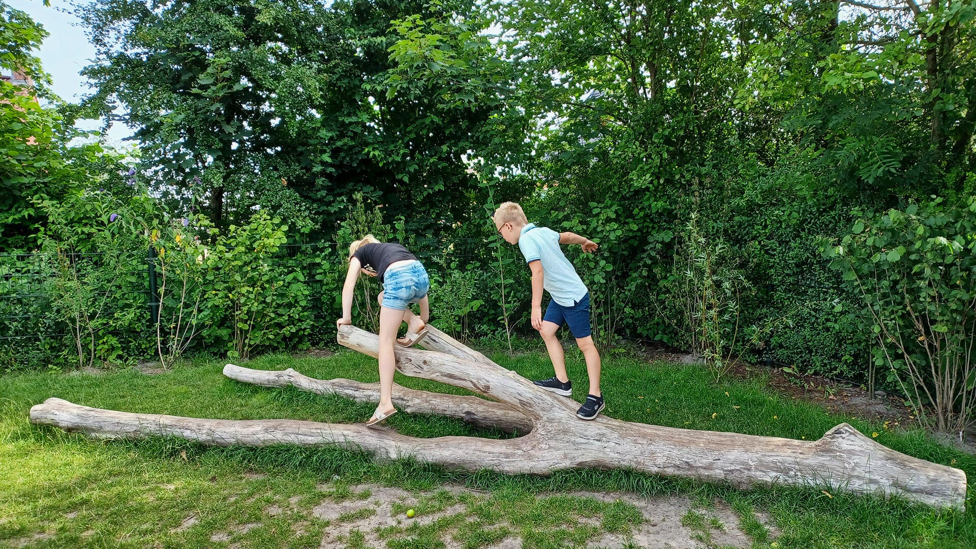 Refurbishment of schoolyard with natural and recycled materials