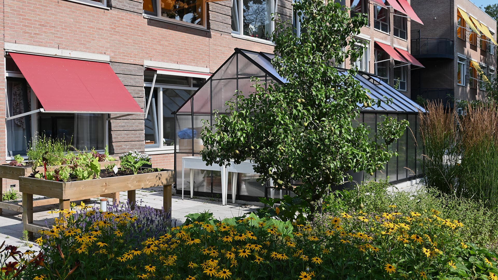 Complete doe-, beweeg- en beleeftuin zorggroep