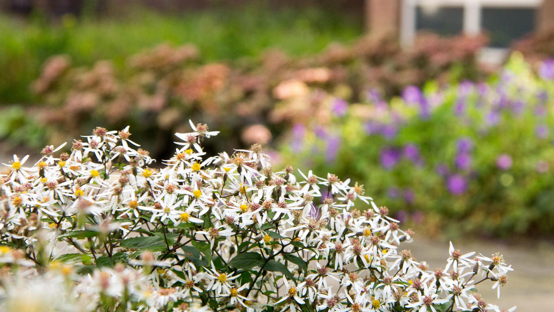 Komplette Aktivität, Bewegung und Erfahrung Gartenpflegegruppe