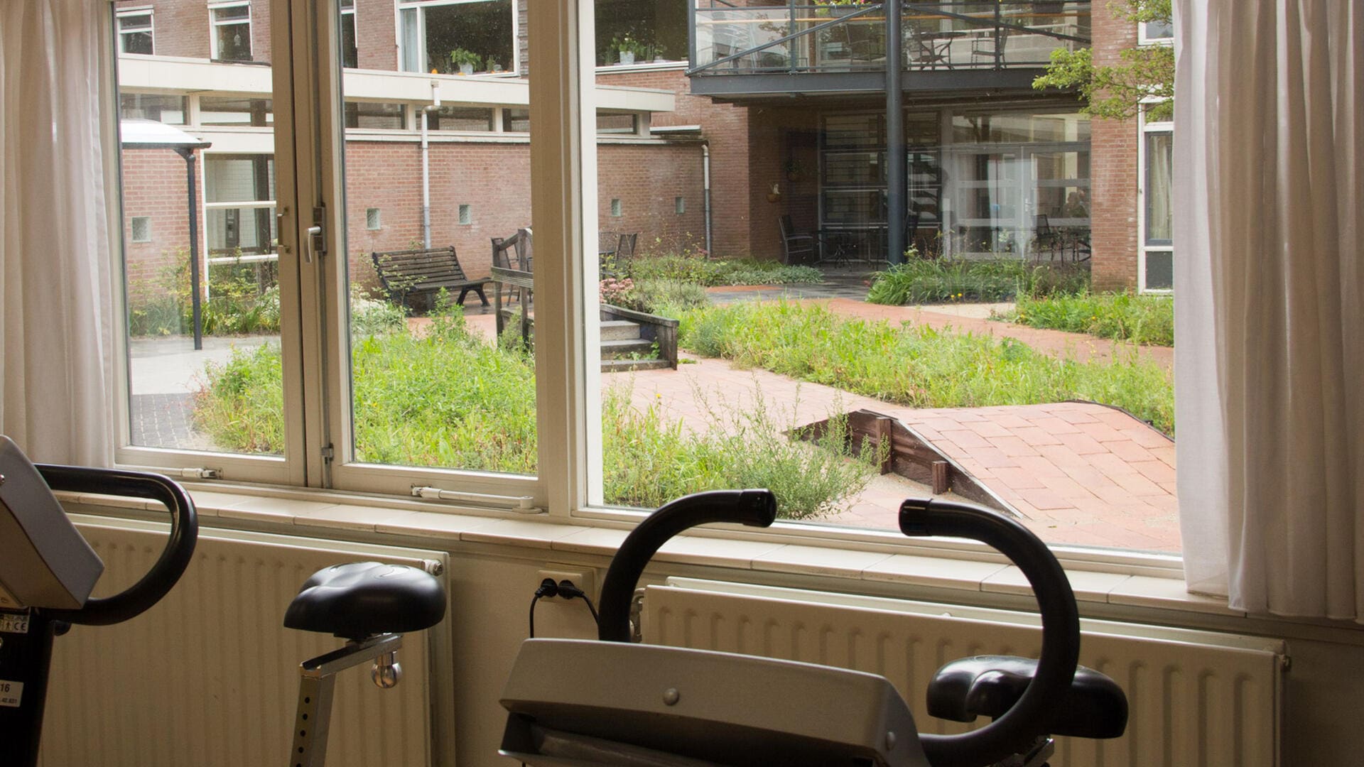 Komplette Aktivität, Bewegung und Erfahrung Gartenpflegegruppe