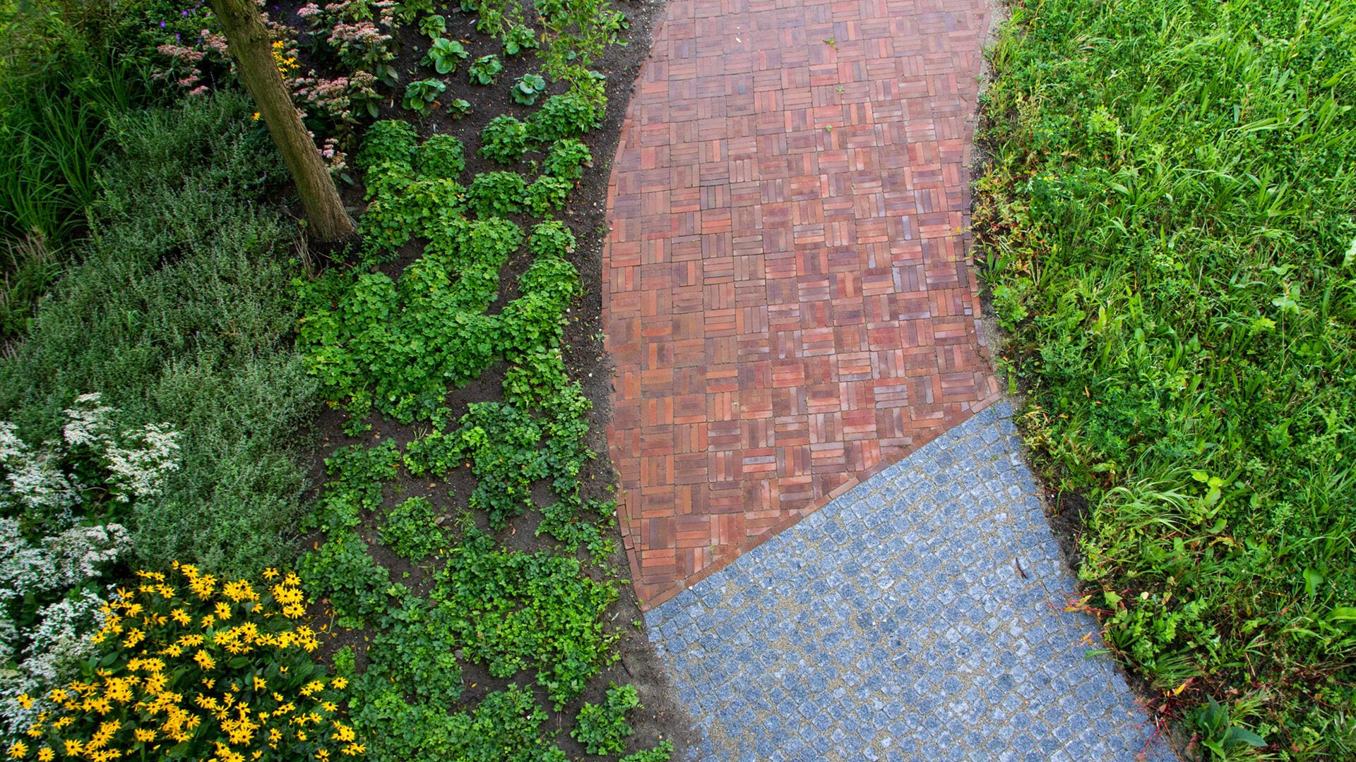 Komplette Aktivität, Bewegung und Erfahrung Gartenpflegegruppe