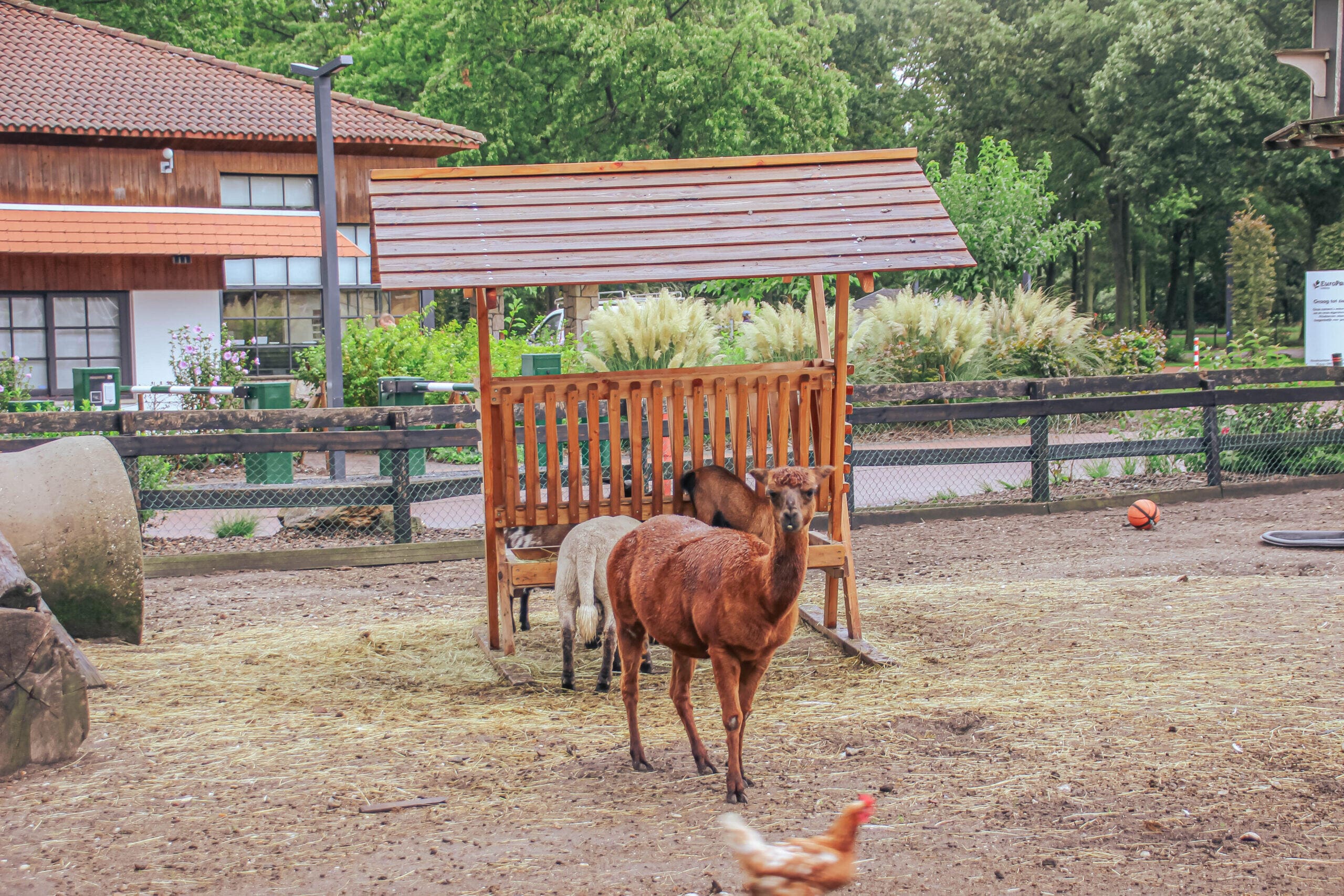 EuroParcs Resort Limburg zoekt de verbinding tussen verschillende speelplekken