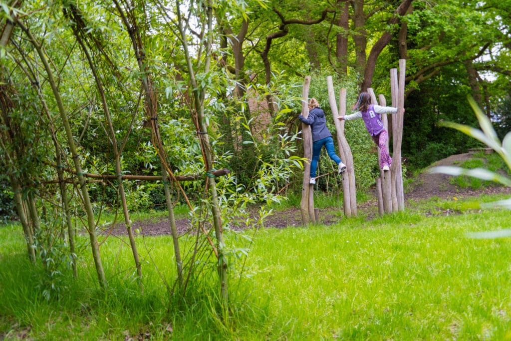 GRoenblauw schoolplein met steltenpad van fsc gekeurd robiniahout en een levende wilgenhaag. 