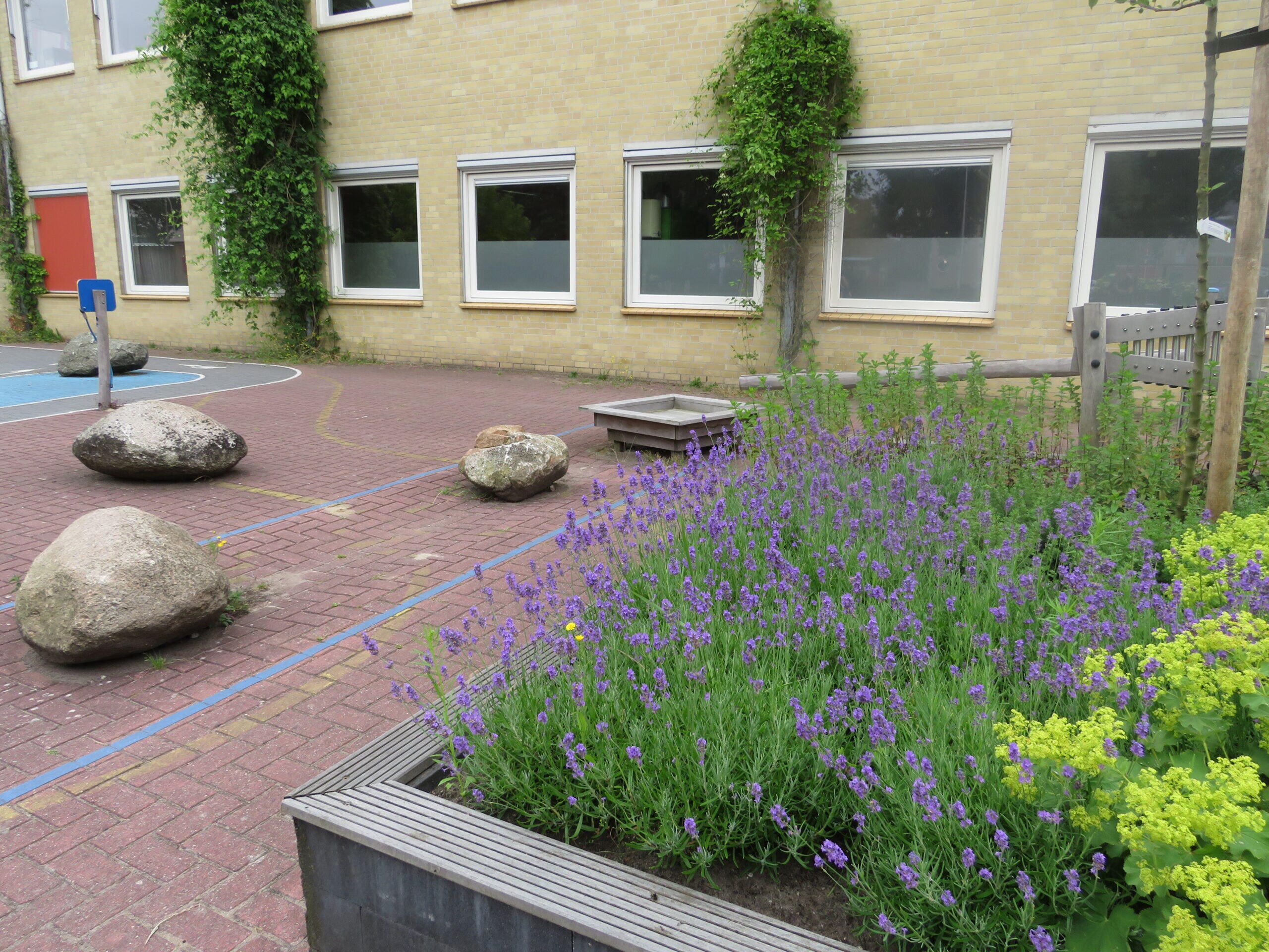 Inclusief belevingsplein Onderwijscentrum de Twijn